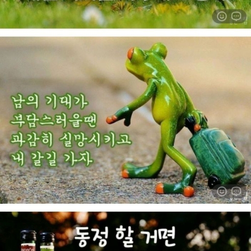 피드 이미지