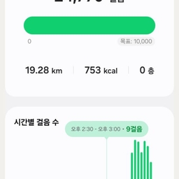 피드에 업로드 된 이미지