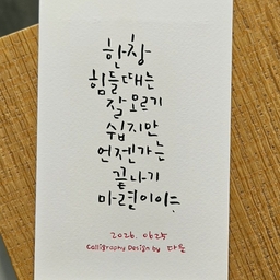 피드에 업로드 된 이미지