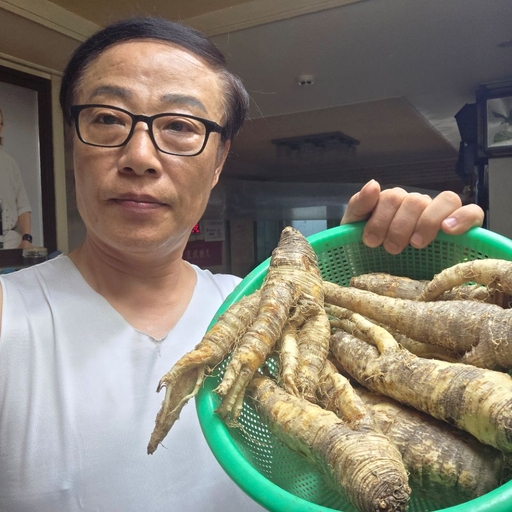피드 이미지