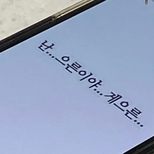 피드 이미지