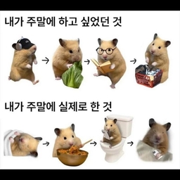 피드에 업로드 된 이미지