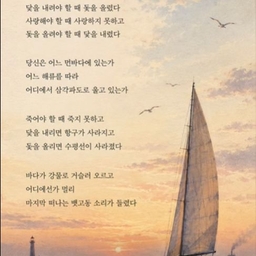 피드에 업로드 된 이미지