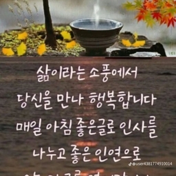 ํผ๋์ ์
๋ก๋ ๋ ์ด๋ฏธ์ง