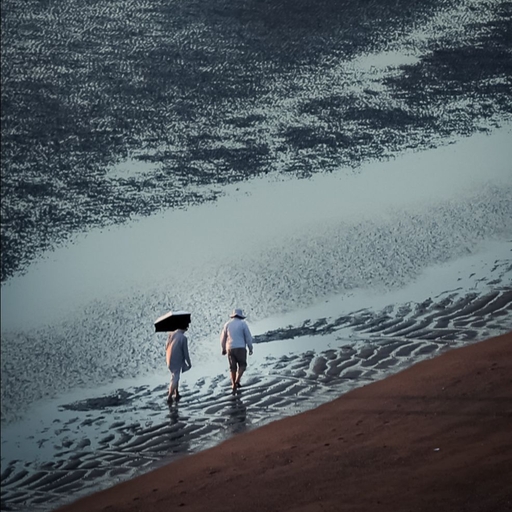 피드 이미지