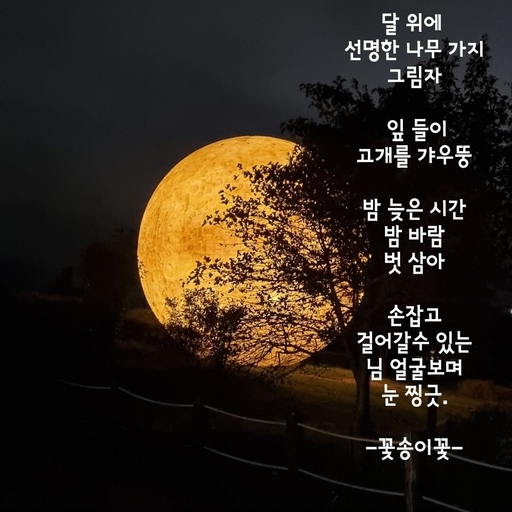 피드 이미지