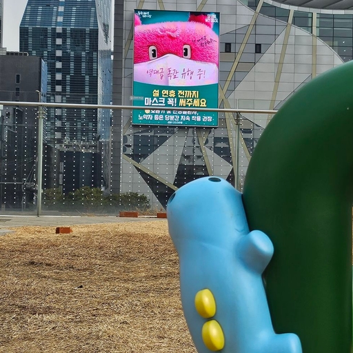 피드 이미지