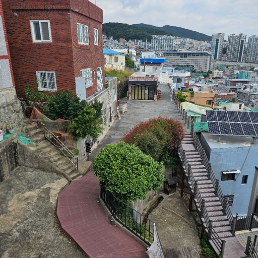 피드 이미지