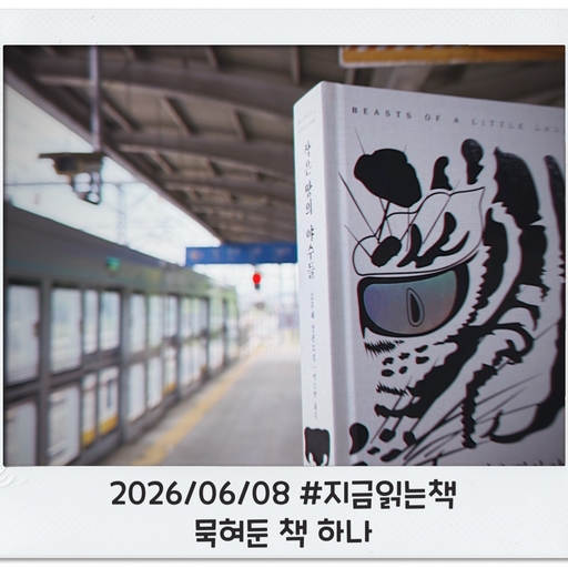 피드 이미지