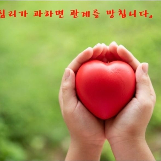 피드 이미지