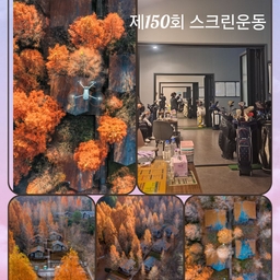 피드에 업로드 된 이미지