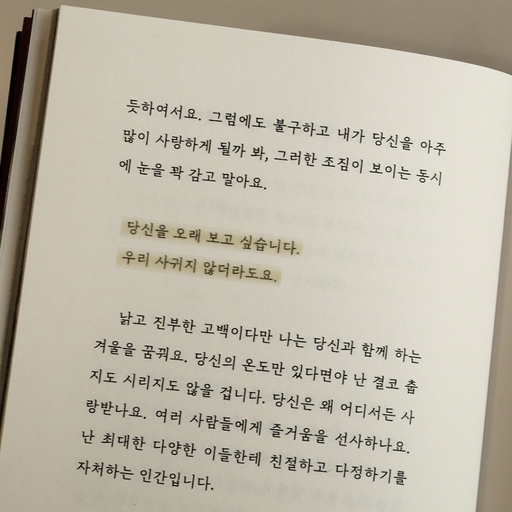 피드 이미지