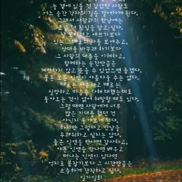 피드에 업로드 된 이미지