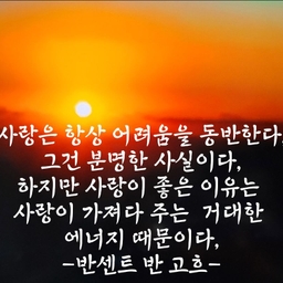 피드에 업로드 된 이미지