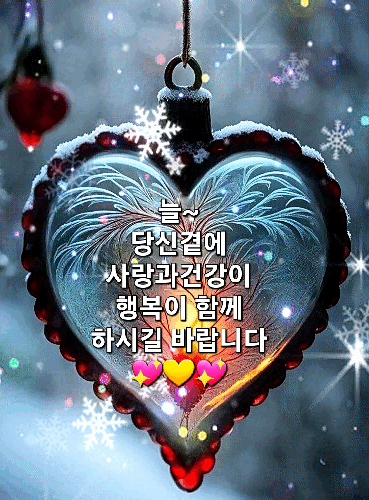 피드에 업로드 된 이미지