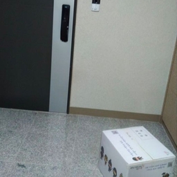 피드에 업로드 된 이미지