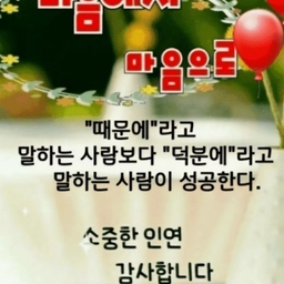 피드에 업로드 된 이미지