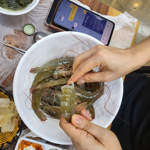 피드 이미지