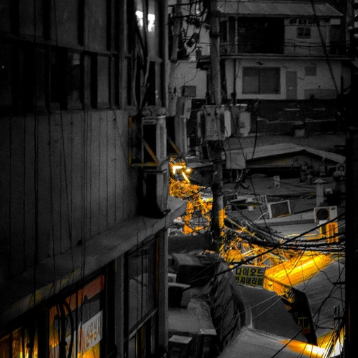 피드 이미지