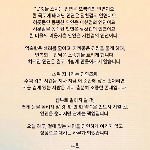 피드 이미지