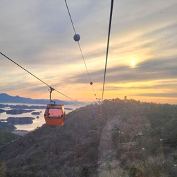 피드에 업로드 된 이미지