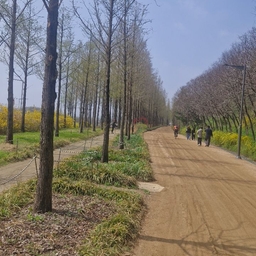 피드에 업로드 된 이미지