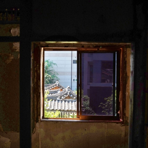 피드 이미지