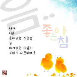 피드에 업로드 된 이미지