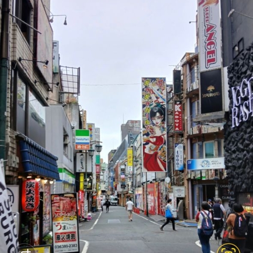 피드 이미지