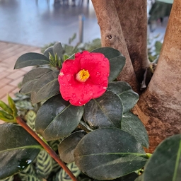 피드에 업로드 된 이미지