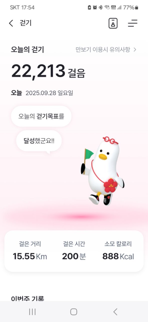 피드 이미지