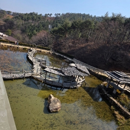 피드에 업로드 된 이미지