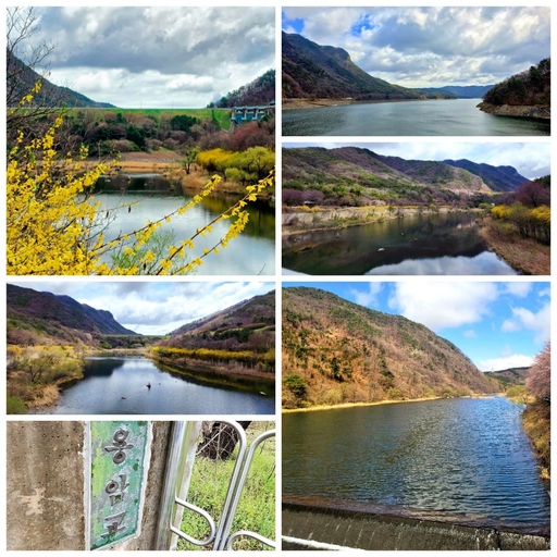 ํผ๋ ์ด๋ฏธ์ง