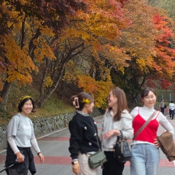 피드에 업로드 된 이미지
