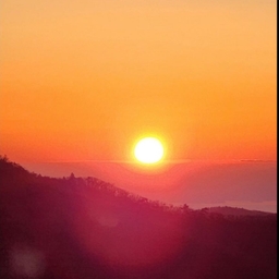 피드에 업로드 된 이미지