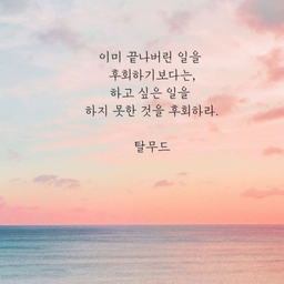 피드에 업로드 된 이미지