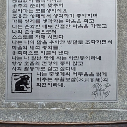 피드에 업로드 된 이미지