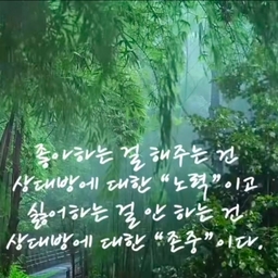 피드에 업로드 된 이미지
