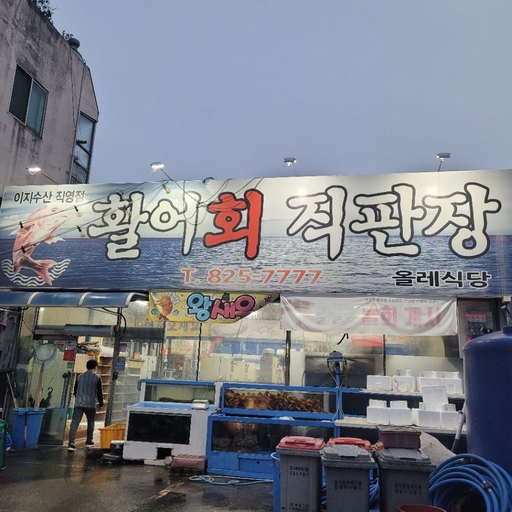 피드 이미지