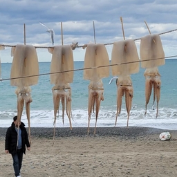 피드에 업로드 된 이미지