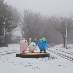 피드에 업로드 된 이미지