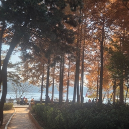 피드에 업로드 된 이미지