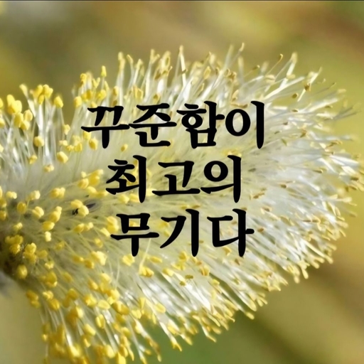 피드 이미지