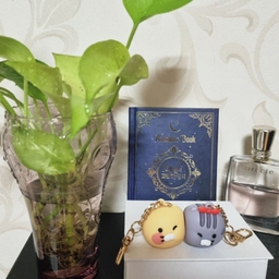 피드에 업로드 된 이미지