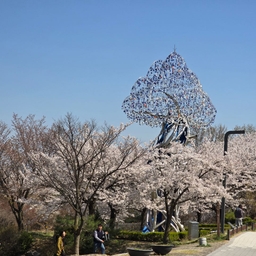 피드에 업로드 된 이미지