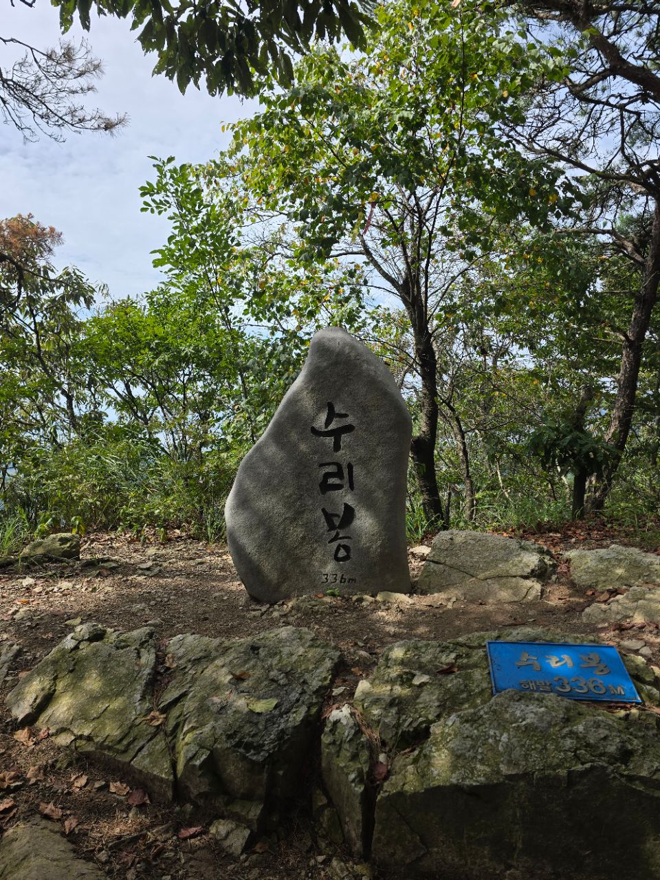 피드 이미지
