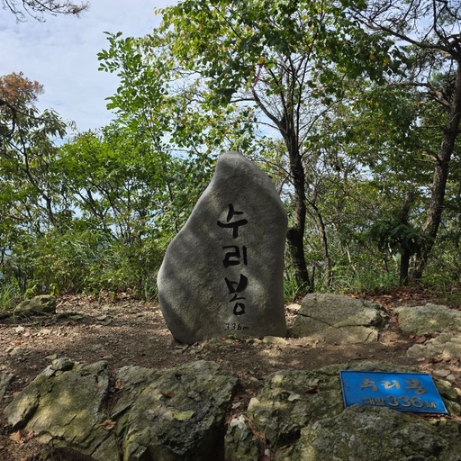 피드 이미지