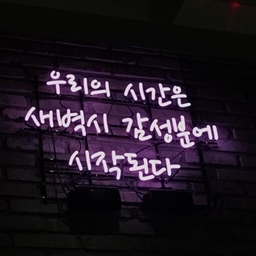 피드에 업로드 된 이미지