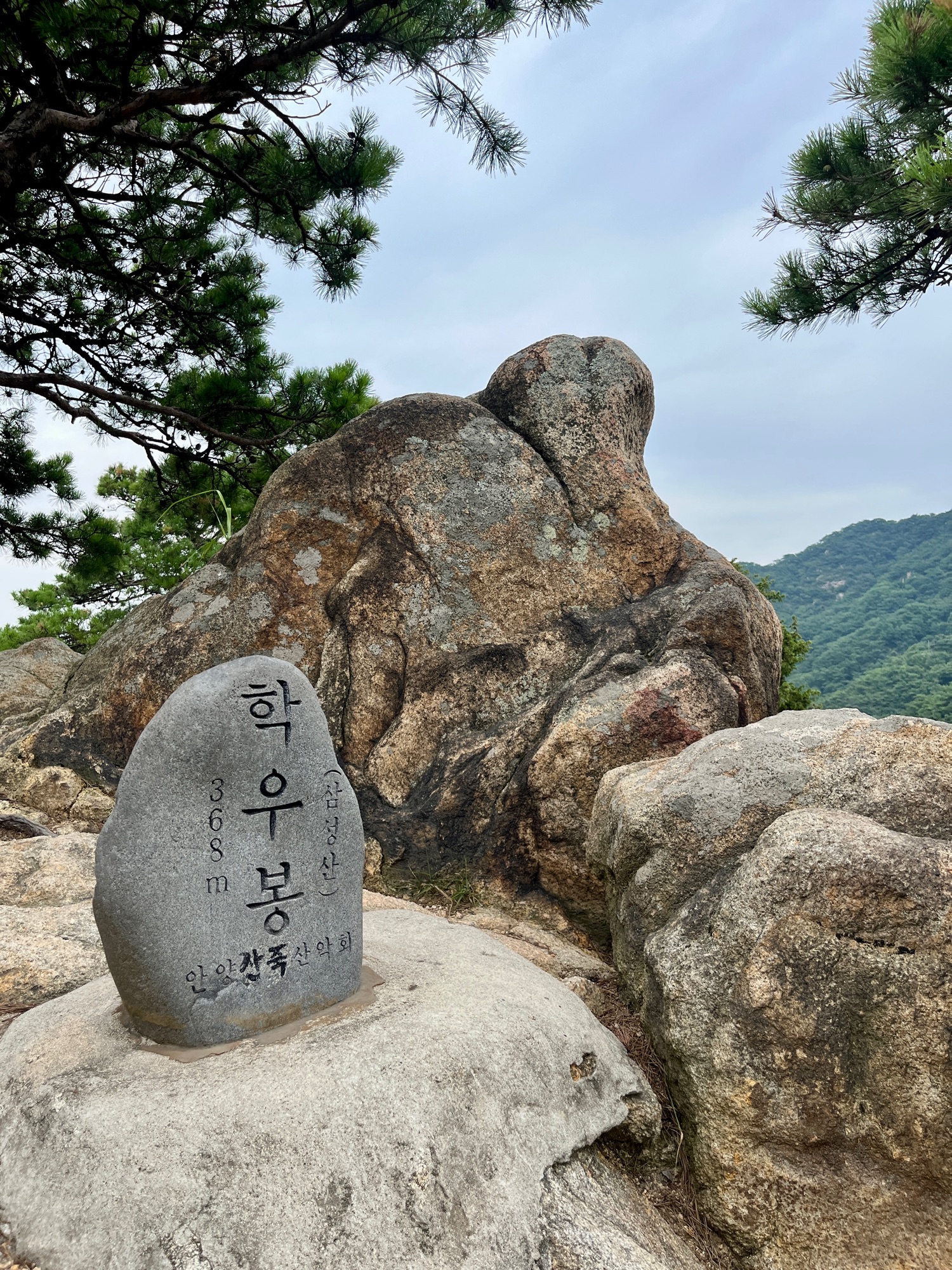 피드 이미지