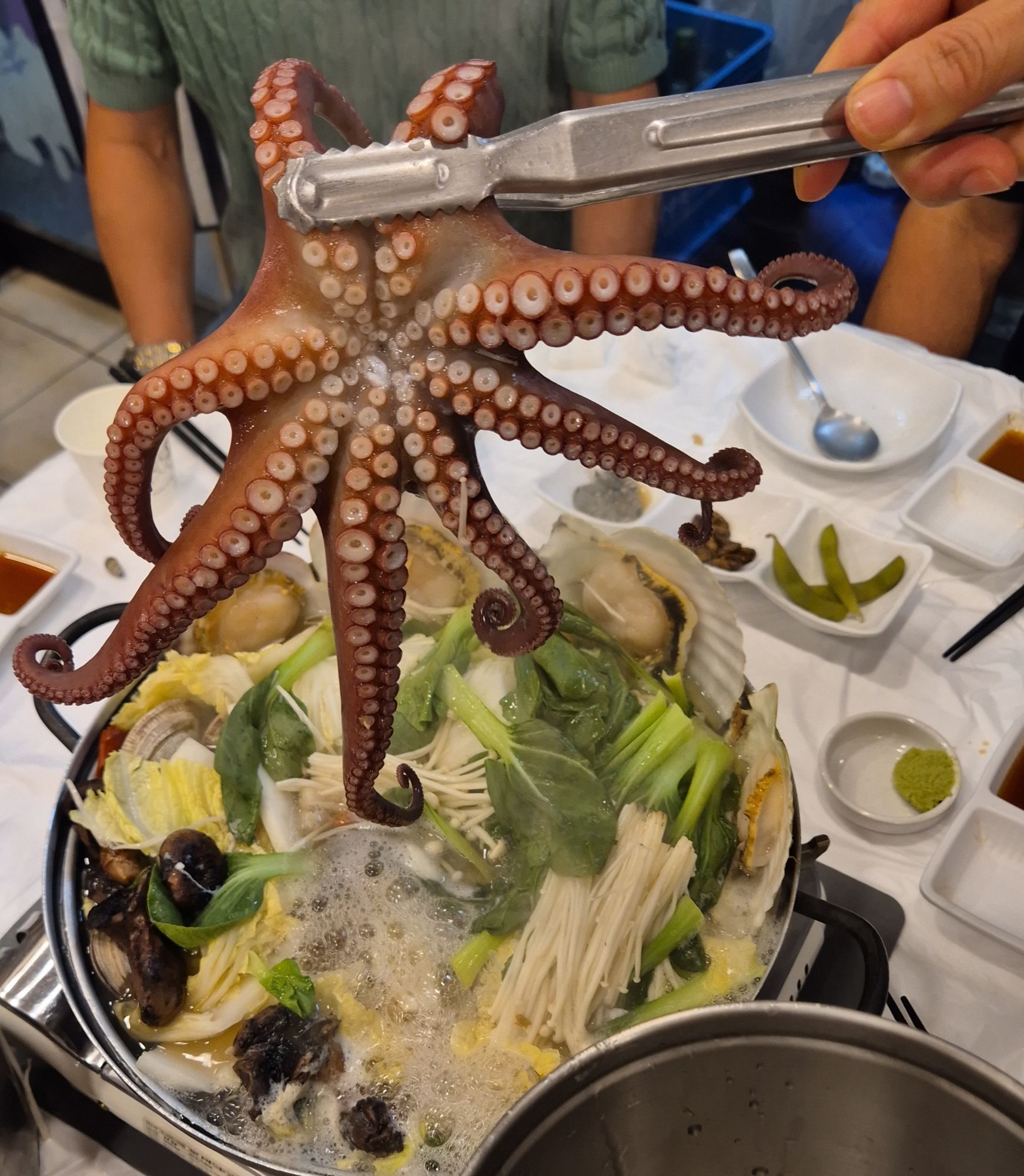 피드 이미지